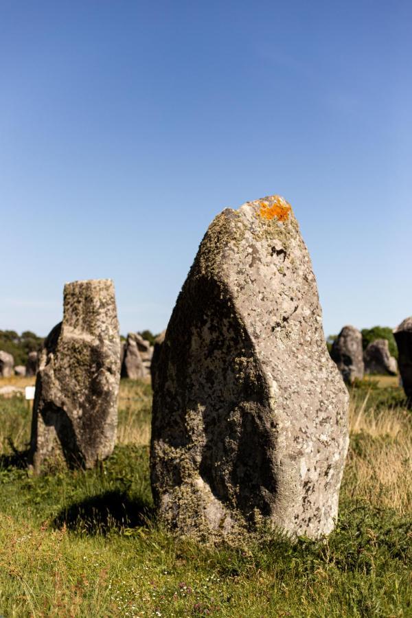 La Metairie Saint-Michel De Quinipily - Les Gites De Kerouzec - Nature Et Detente Baud Eksteriør billede